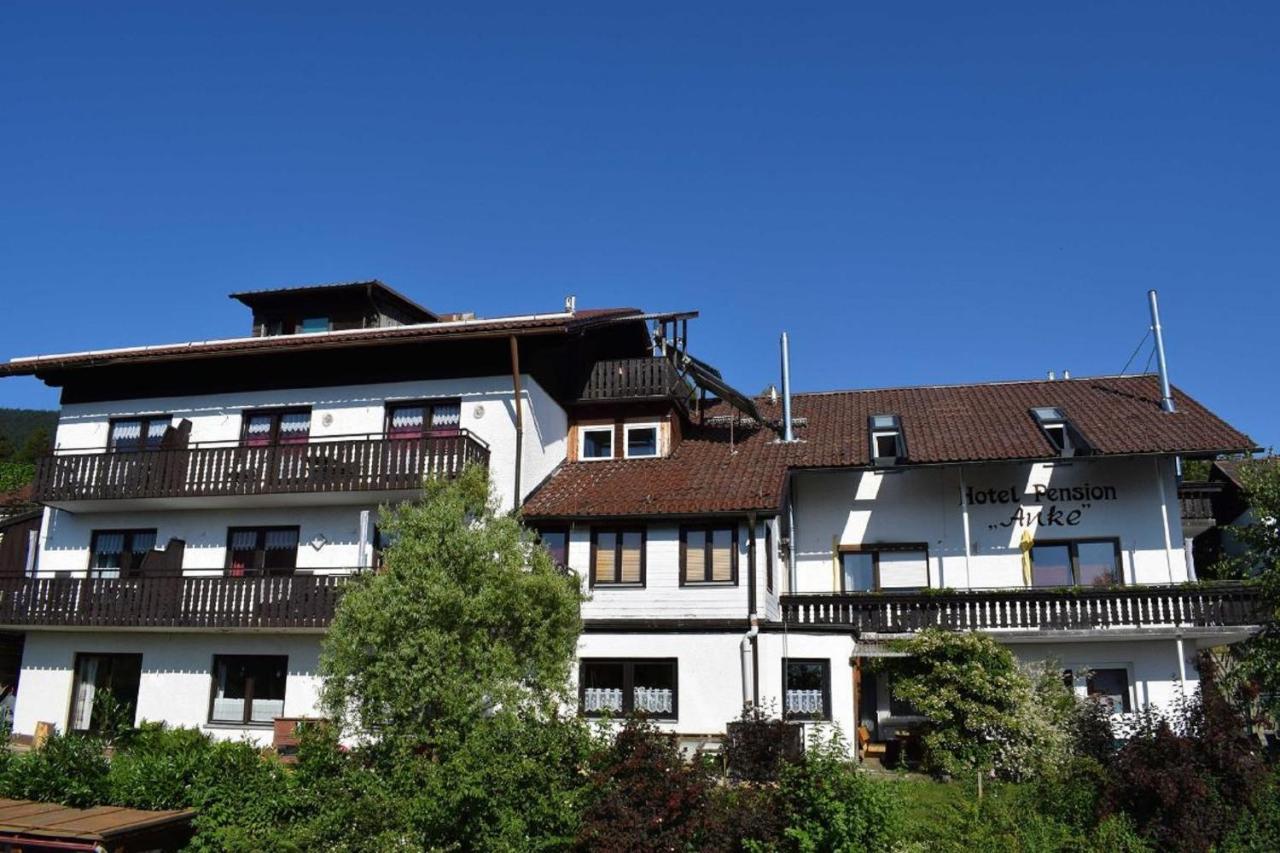 Hotel Pension Anke Bodenmais Exteriör bild